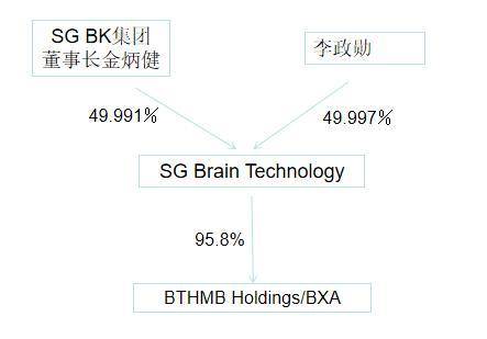 除了金炳坚,bxa代币投资者为何将李正勋作为主要负责人?