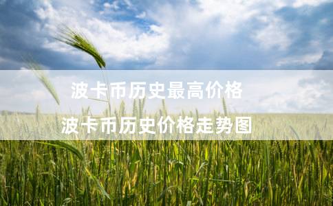 波卡币历史最高价格（波卡币历史价格走势图）
