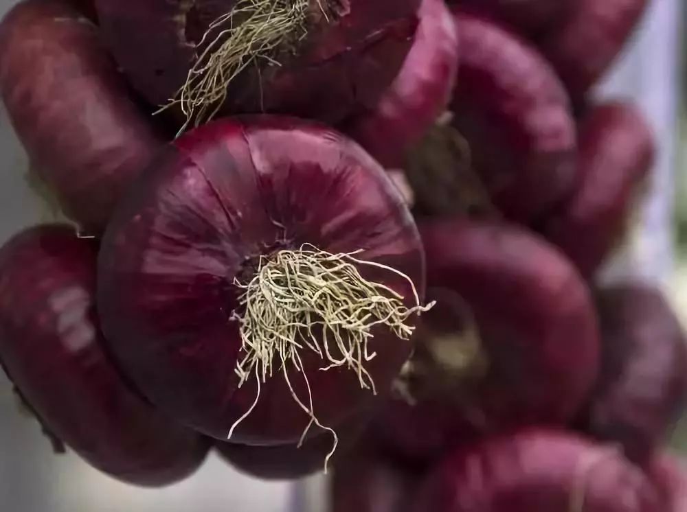 200卢比多少人民币(800卢比=多少人民币)4 200卢比多少人民币(800卢比=多少人民币)4