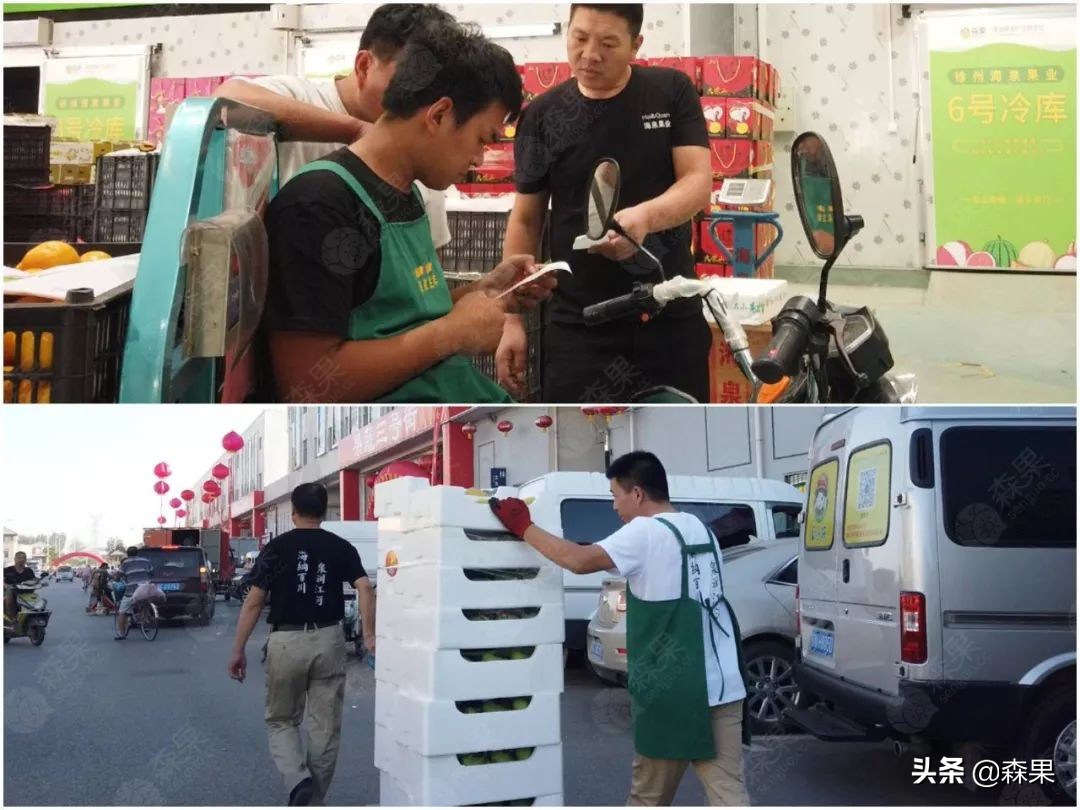 海泉果业官网（山泉果业有限公司）16