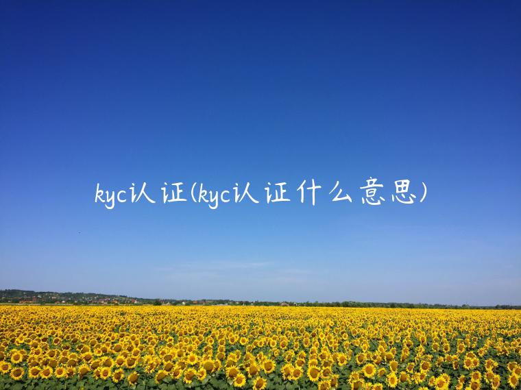 kyc认证(kyc认证什么意思)