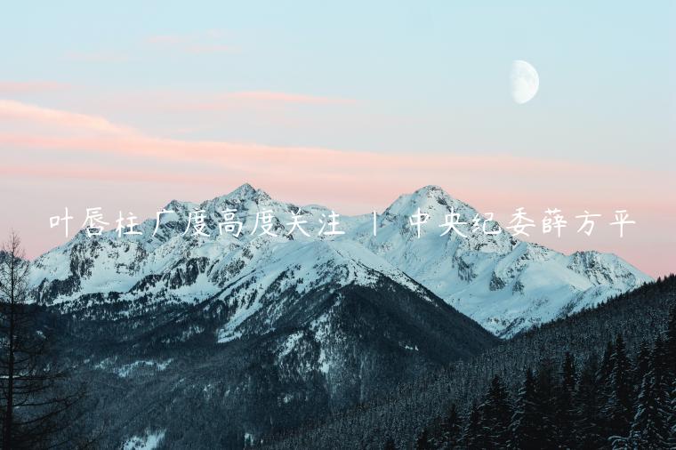 叶唇柱广度高度关注 | 中央纪委薛方平插图 叶唇柱广度高度关注 | 中央纪委薛方平