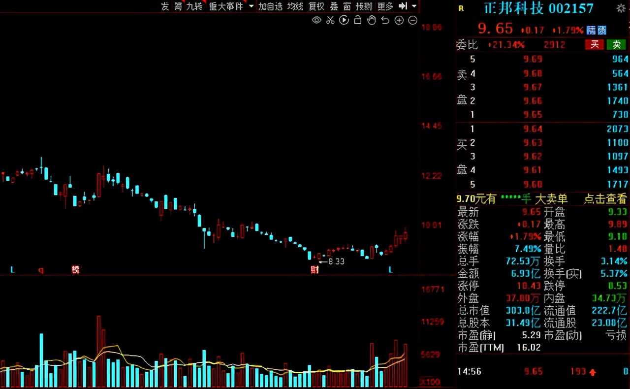 猪肉股票有哪些（猪肉股票有哪些代码）