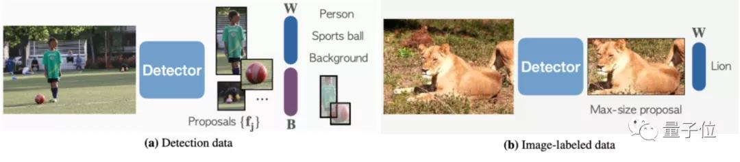 hodl住(HODL住爱杨幂)