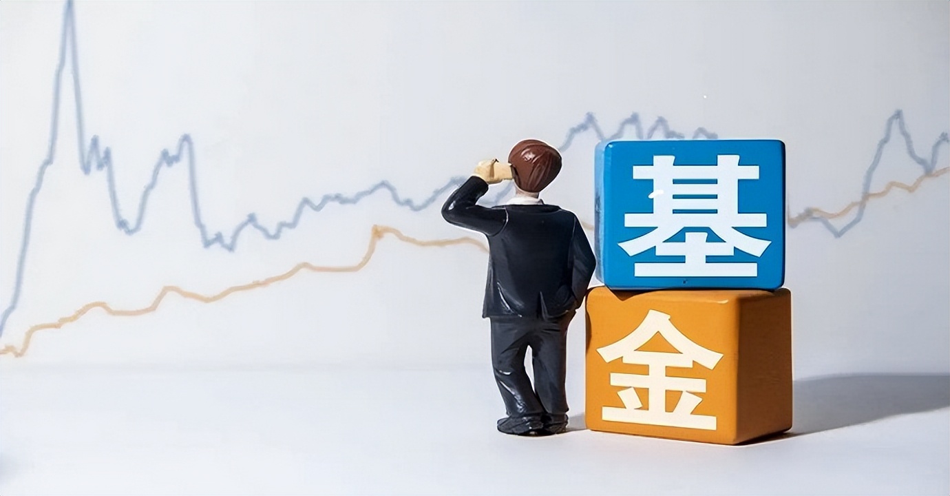 基金怎么玩最赚钱（基金怎样玩赚钱）