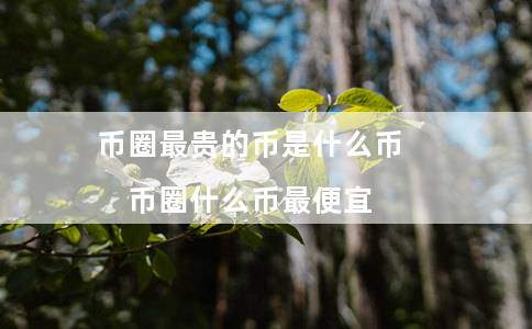 币圈最贵的币是什么币（币圈什么币最便宜）