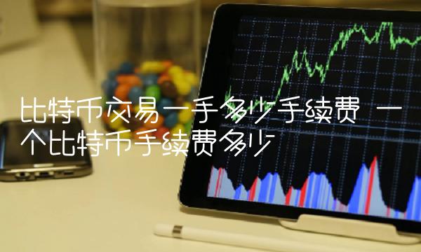比特币交易一手多少手续费 一个比特币手续费多少