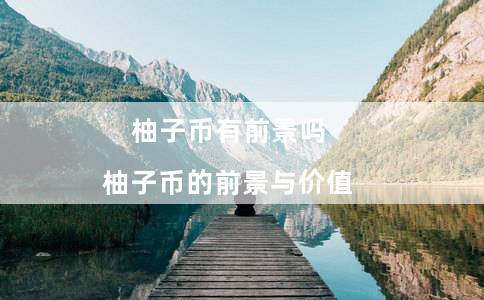 柚子币有前景吗（柚子币的前景与价值）