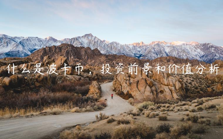 什么是波卡币,投资前景和价值分析插图 什么是波卡币,投资前景和价值分析