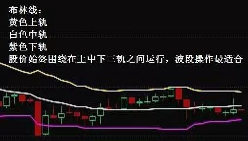 boll是什么意思（boll是什么意思译）