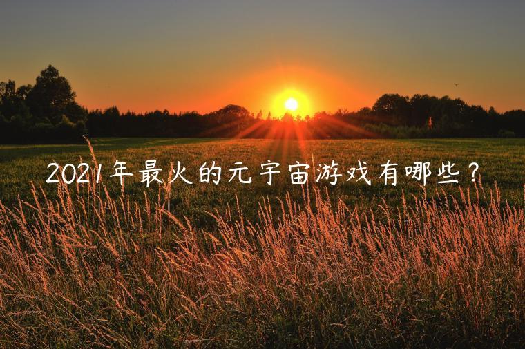 2021年最火的元宇宙游戏有哪些?插图 2021年最火的元宇宙游戏有哪些?