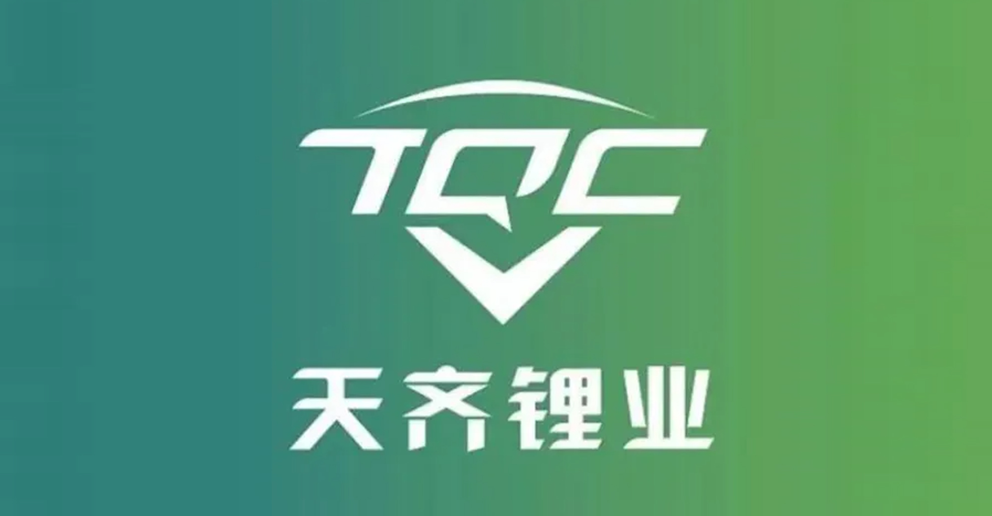 新能源汽车龙头股排名（新能源汽车龙头股排名雪球）4