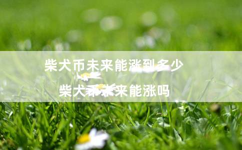 柴犬币未来能涨到多少(柴犬币未来能涨吗)插图 柴犬币未来能涨到多少(柴犬币未来能涨吗)