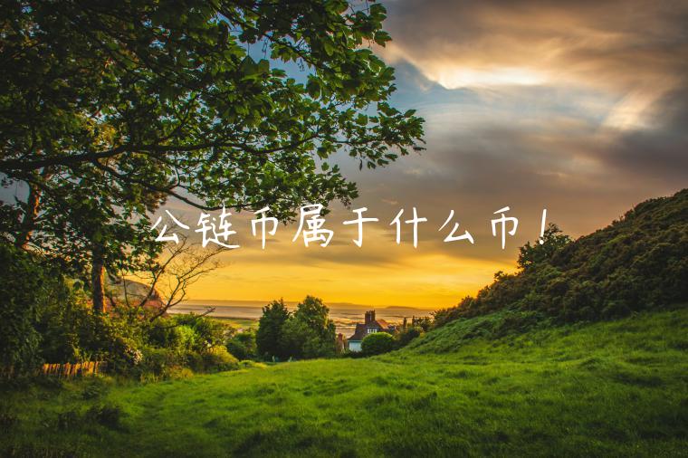 公链币属于什么币！