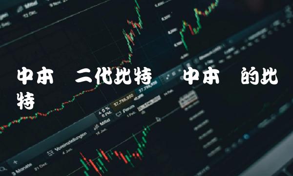 中本聪二代比特币 中本聪的比特币