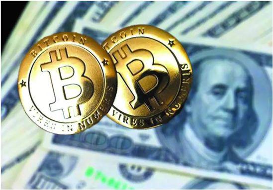 Marange计算机程序狗（Marange计算机程序狗App浏览官方网站）