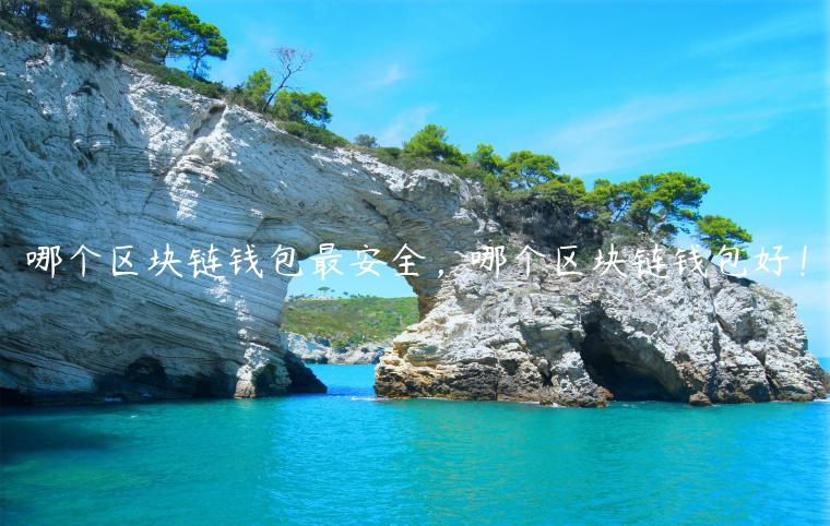 哪个区块链钱包最安全，哪个区块链钱包好！