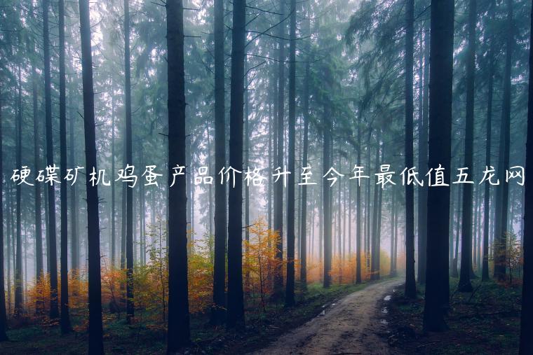 硬碟矿机鸡蛋产品价格升至今年最低值五龙网