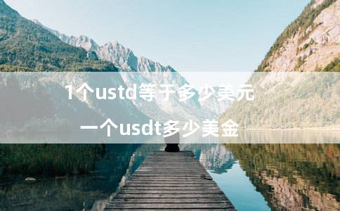 1个ustd等于多少美元（一个usdt多少美金）