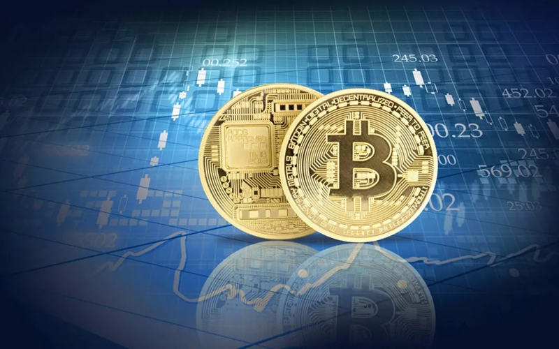 Marange计算机程序狗（Marange计算机程序狗App浏览官方网站）