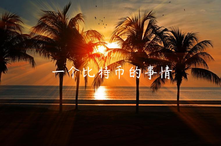 一个比特币的事情