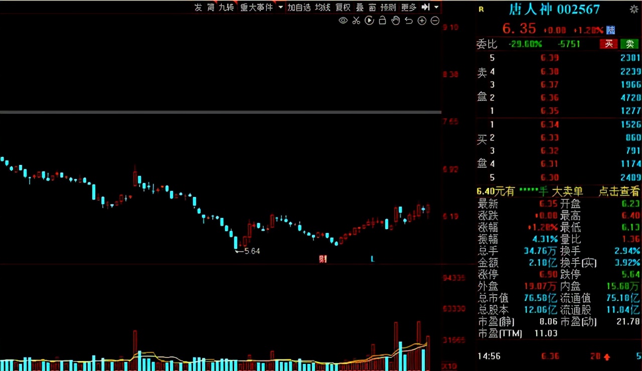 猪肉股票有哪些（猪肉股票有哪些代码）