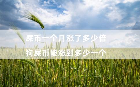 屎币一个月涨了多少倍（狗屎币能涨到多少一个）