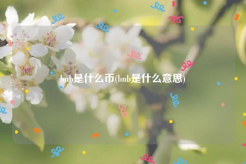 bnb是什么币(bnb是什么意思)插图 bnb是什么币(bnb是什么意思)