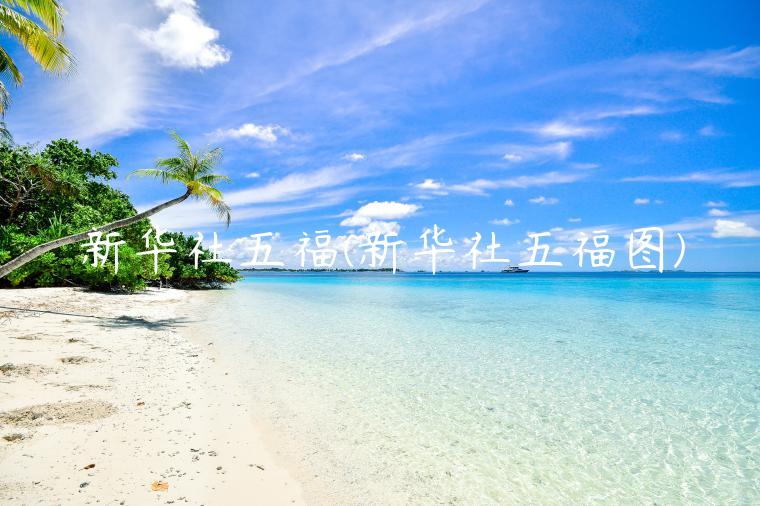 新华社五福(新华社五福图)