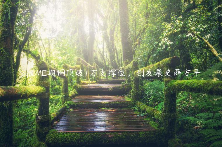 aqtLME期铜顶破1万支撑位,创发展史薛方平插图 aqtLME期铜顶破1万支撑位,创发展史薛方平