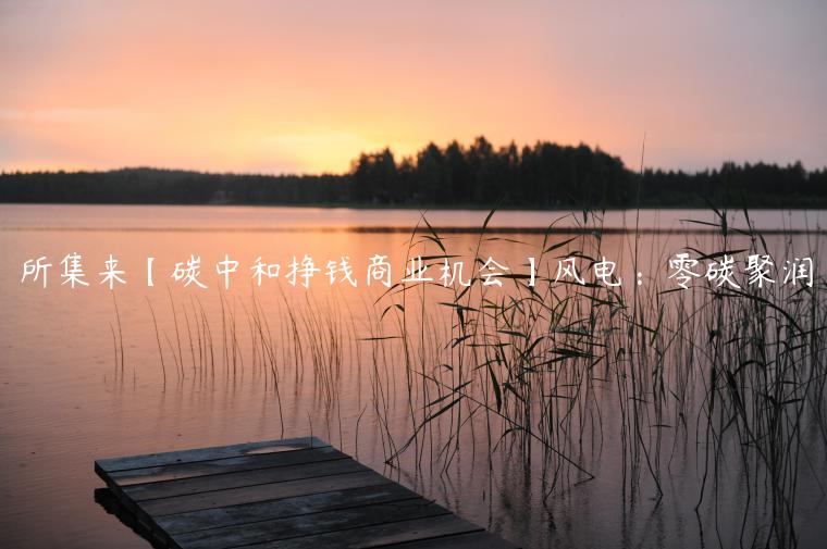 所集来【碳中和挣钱商业机会】风电：零碳聚润