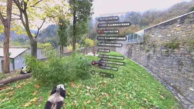 突破千万大关之后：被误读、被低估的VR7