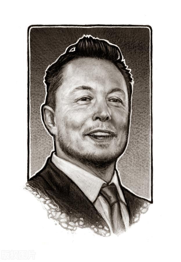 MusK币(musK币前景怎么样)