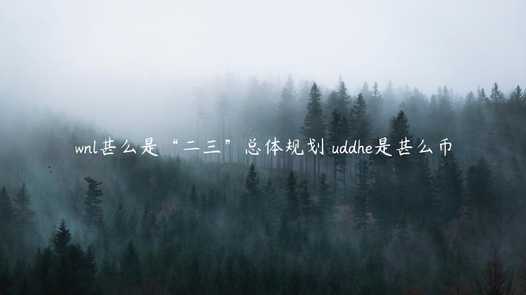 wnl甚么是“二三”总体规划 uddhe是甚么币