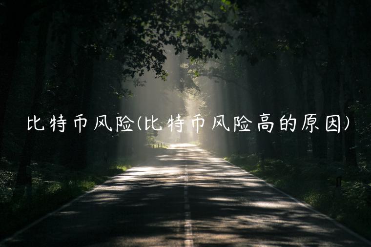 比特币风险(比特币风险高的原因)