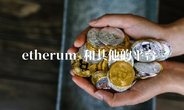 etherum 和其他的平台