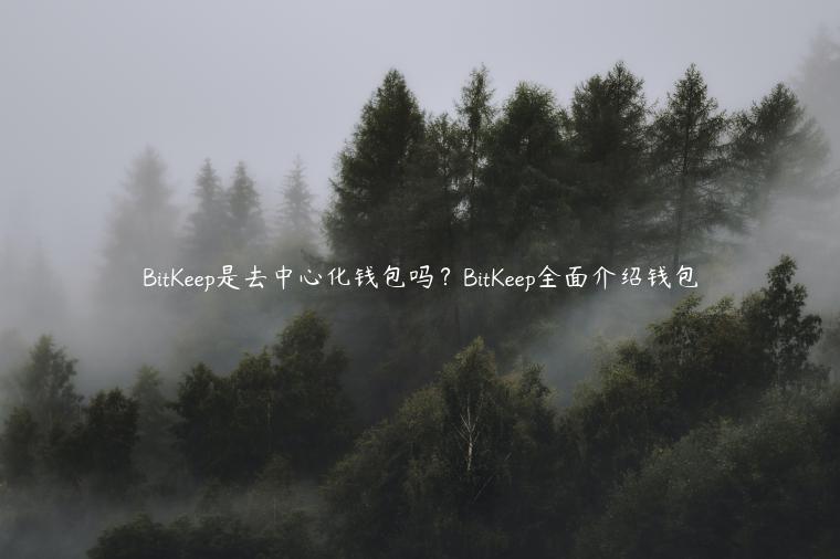 BitKeep是去中心化钱包吗？BitKeep全面介绍钱包