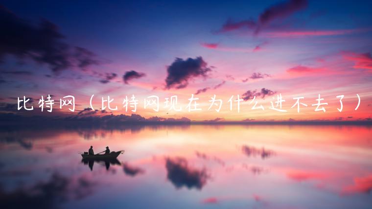 比特网（比特网现在为什么进不去了）