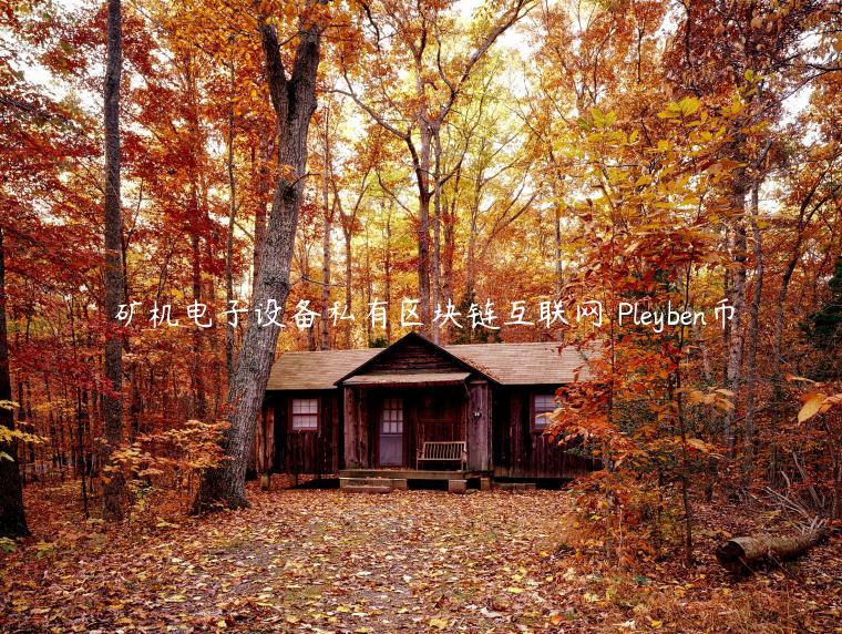 矿机电子设备私有区块链互联网 Pleyben币
