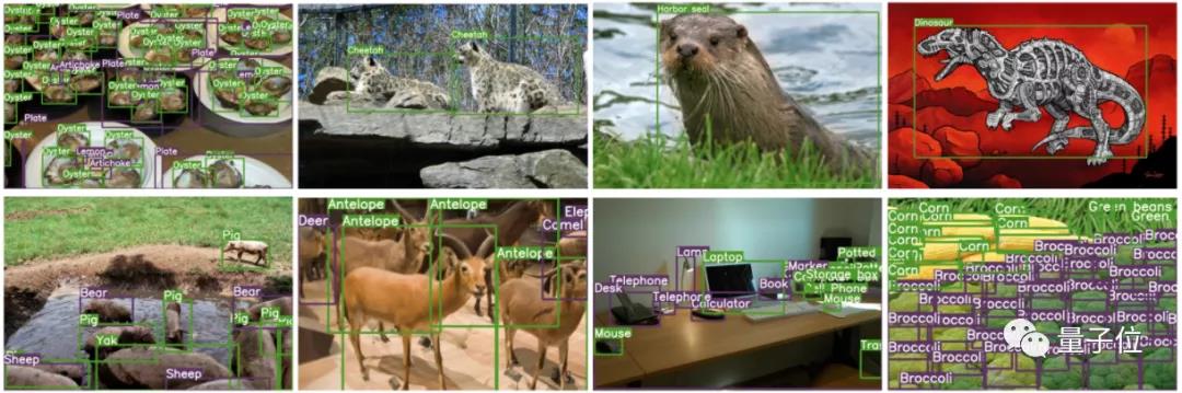 hodl住(HODL住爱杨幂)