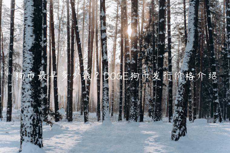 狗币最早多少钱？DOGE狗币发行价格介绍