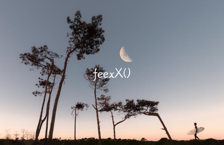 feexX()