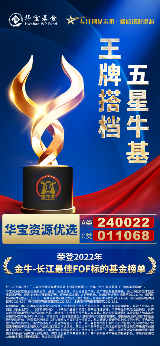 2022年十大金牛基金公司（2018年金牛基金）