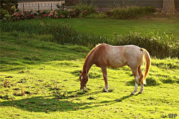 蚂蚁财富三分宝玩法（蚂蚁财富三分宝玩法介绍）2