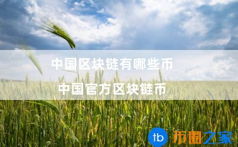 **区块链币有哪些(**有多少区块链)