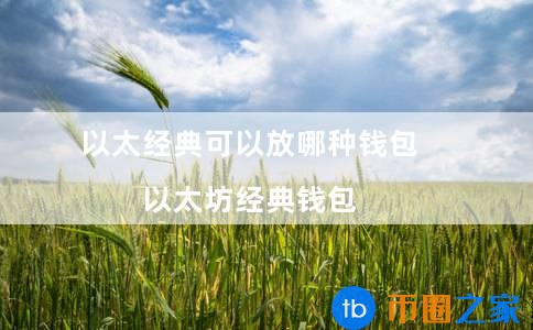 以太经典钱包和以太坊钱包(以太坊经典钱包)