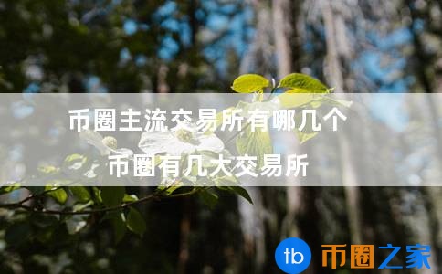 币圈交易所都有哪些(币圈三大交易所)