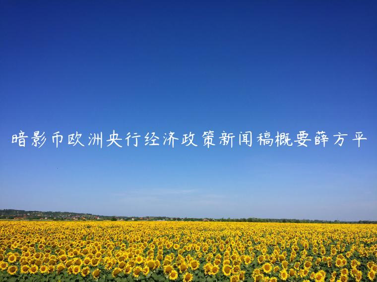 暗影币欧洲央行经济政策新闻稿概要薛方平