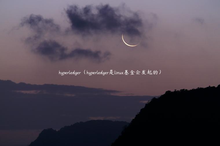 hyperledger(hyperledger是linux基金会发起的)插图 hyperledger(hyperledger是linux基金会发起的)