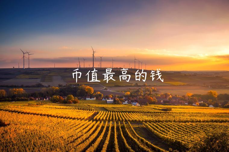 币值最高的钱 币值最高的钱